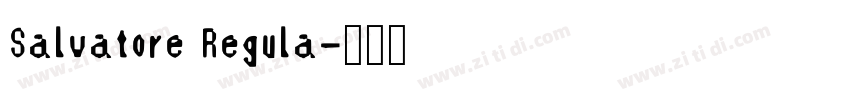 Salvatore Regula字体转换